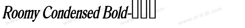 Roomy Condensed Bold字体转换 Roomy Condensed Bold字体转换